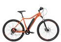 Obrazek PR-MTB 29" 08G HE ACE MATT TROPICAO