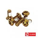 Obrazek ZESTAW ŚRUB DO TARCZY HAM RB-01 GOLD