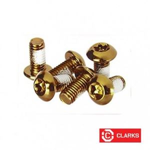 Picture of ZESTAW ŚRUB DO TARCZY HAM RB-01 GOLD